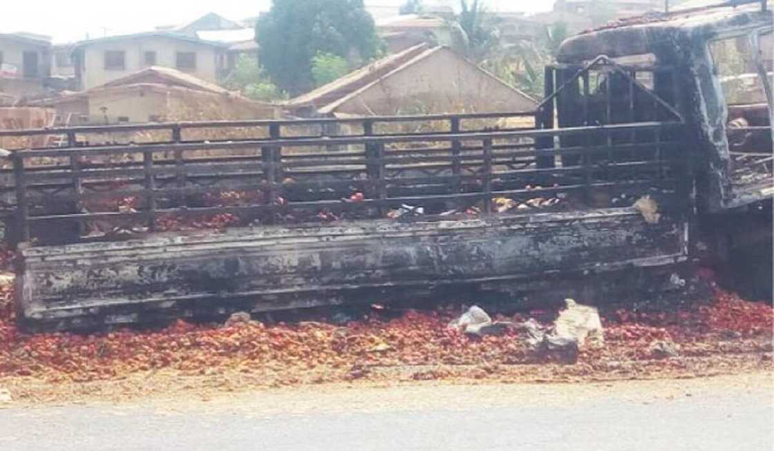 'Rabo na da cin abinci tun ranar Juma'a', Ɗan kasuwa ya yi magana kan rikicin Shasa