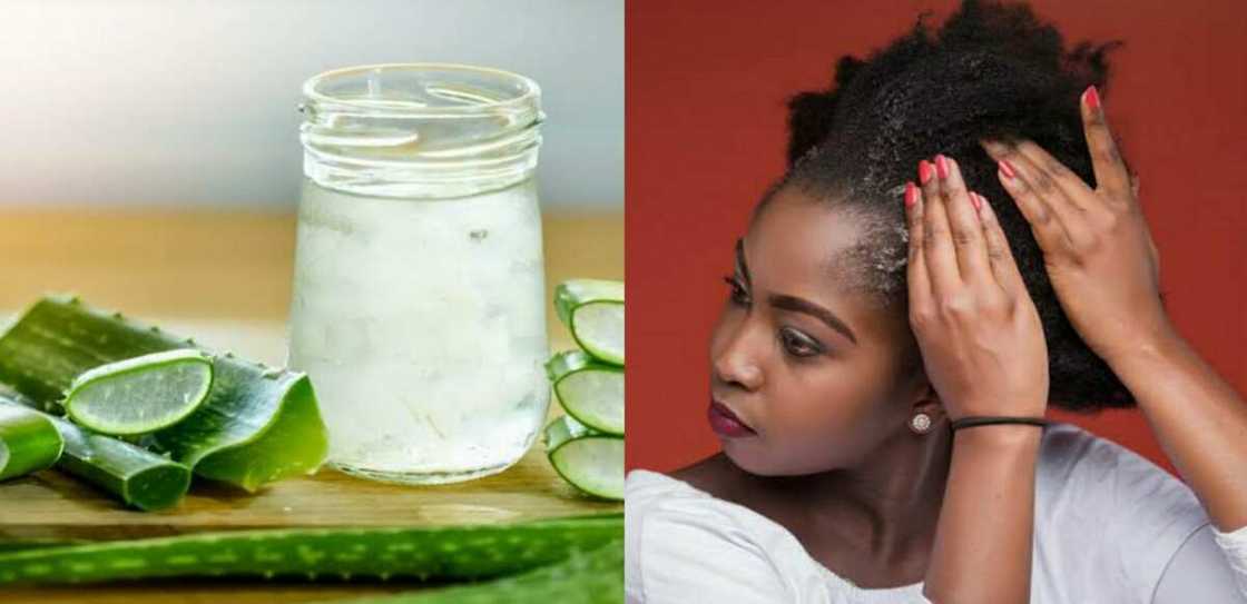 Natural hair shampoo Natural hair shampoo