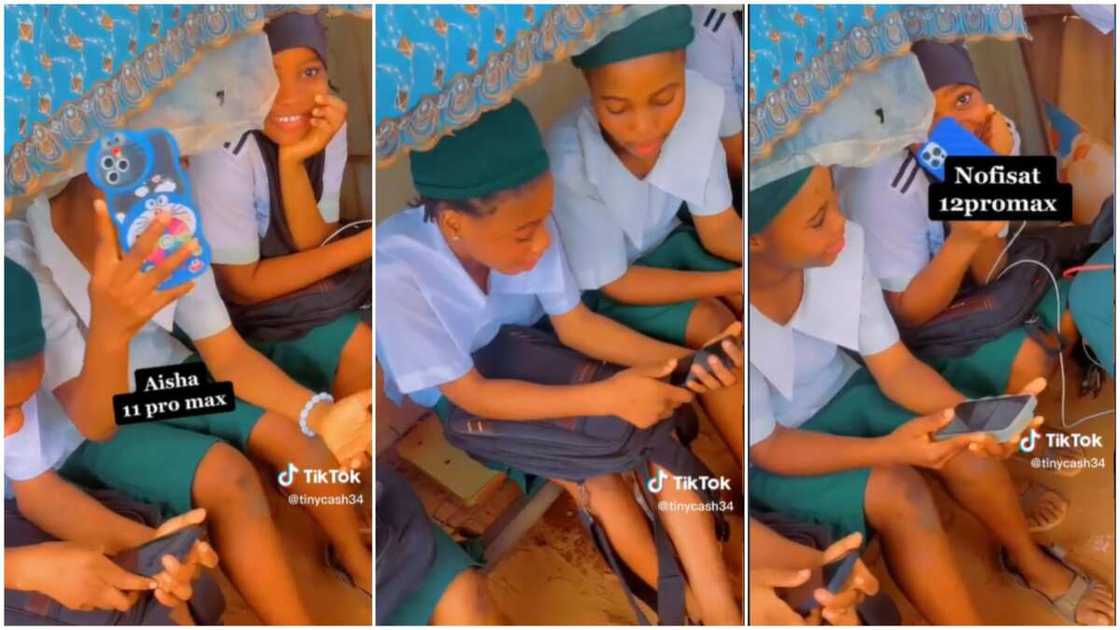 Different iPhone models/students showed off their phones. Different iPhone models/students showed off their phones.