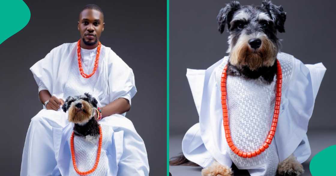 Man's dog rocks agbada for birthday shoot