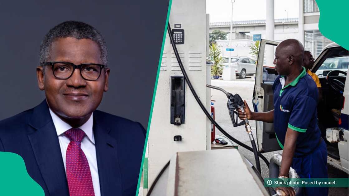 Marketers abandon other fuel for Dangote’s as prices of PMS going to fluctuate in Nigeria. Marketers abandon other fuel for Dangote’s as prices of PMS going to fluctuate in Nigeria.