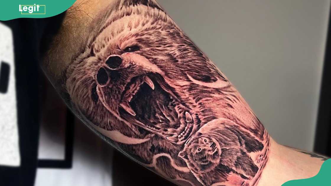 Bear tattoo Bear tattoo