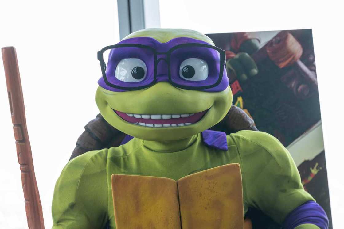 Teenage Mutant Ninja Turtles character Donatello visits One World Observatory Teenage Mutant Ninja Turtles character Donatello visits One World Observatory