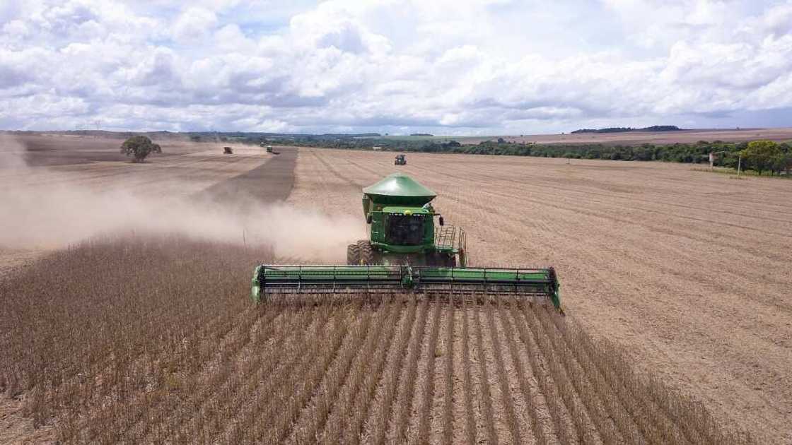 Brazil is the world's largest exporter of soybeans Brazil is the world's largest exporter of soybeans