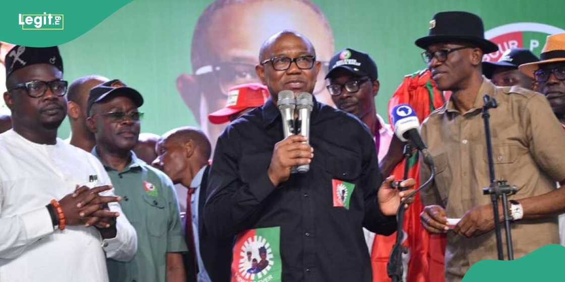 Peter Obi/Peter Obi news/Peter Obi news today/Edo state