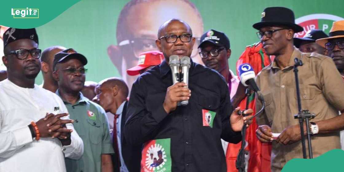 Peter Obi/Peter Obi news/Peter Obi news today/Edo state Peter Obi/Peter Obi news/Peter Obi news today/Edo state