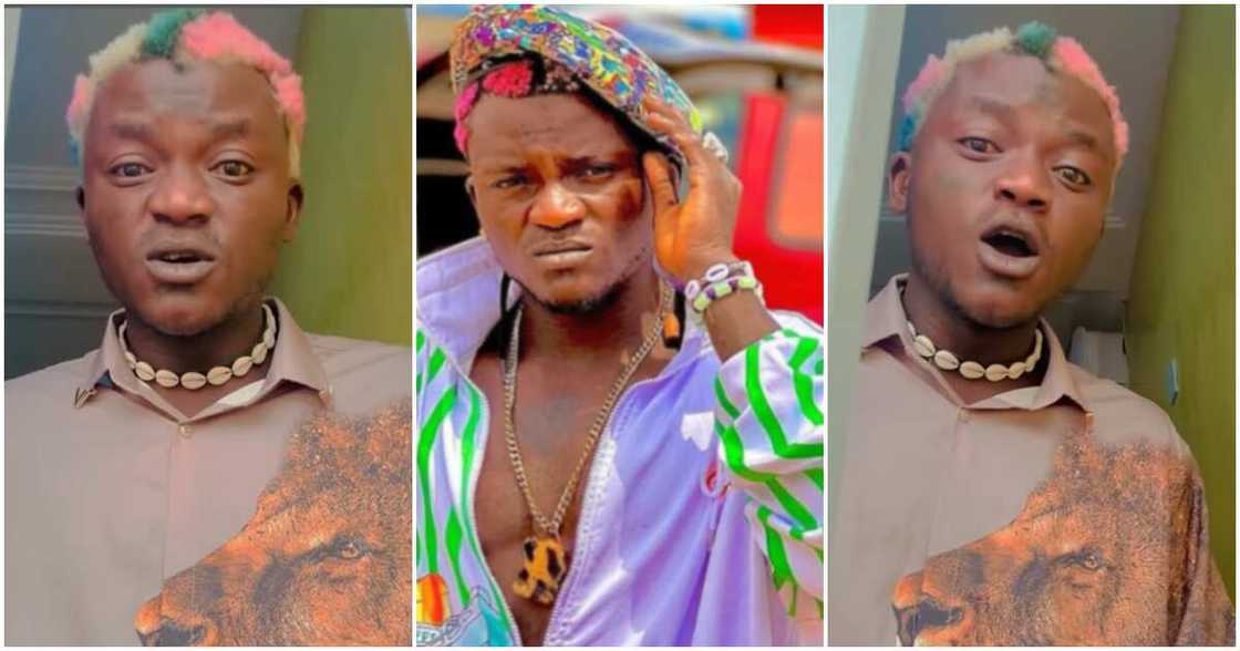 Portable Zazu Portable Zazu