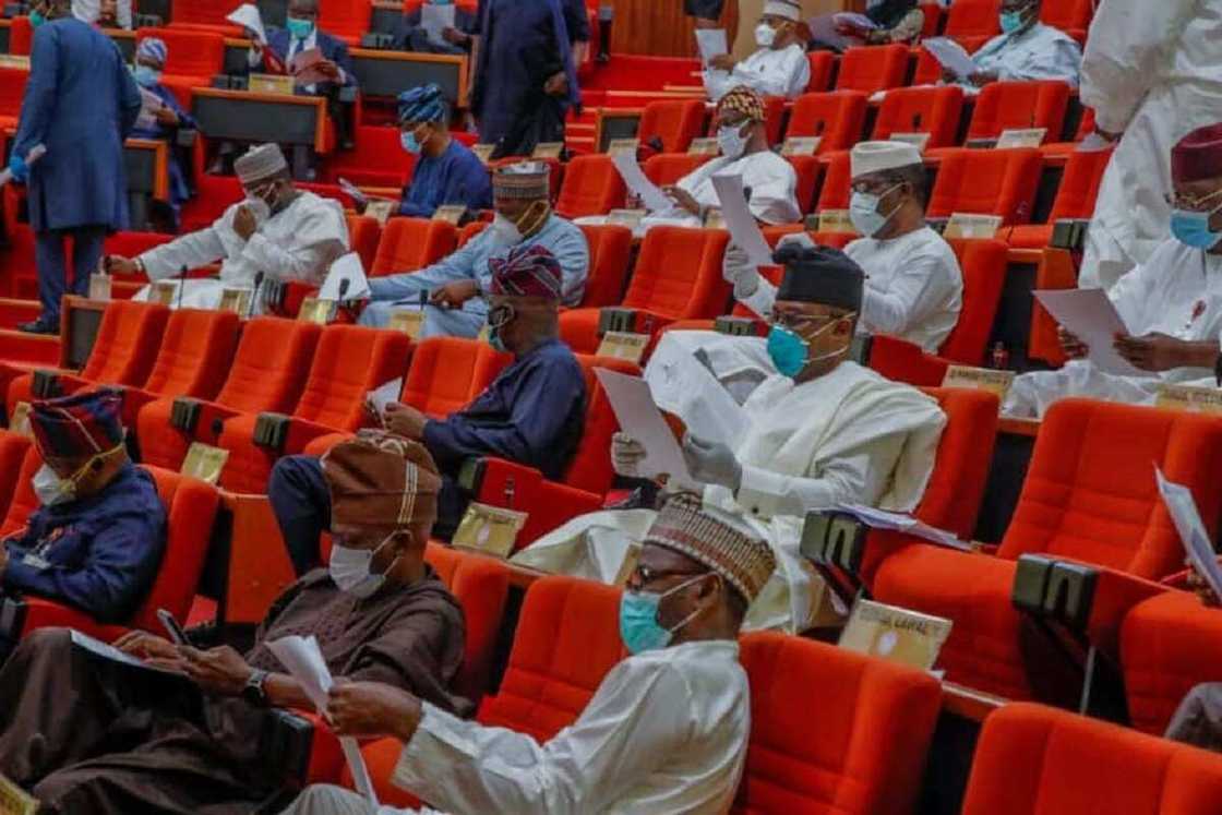 Breaking: Senate asks JAMB to review NIN policy as requirement for registration Breaking: Senate asks JAMB to review NIN policy as requirement for registration