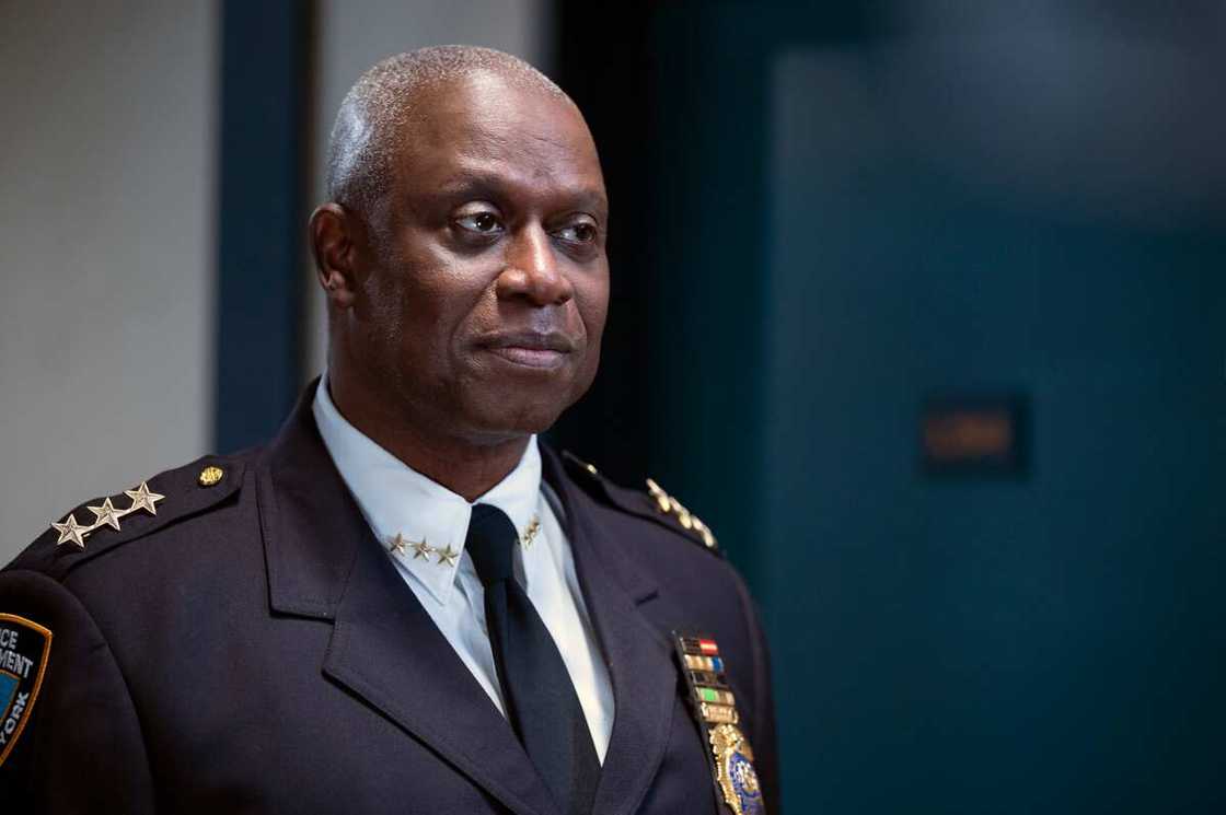 Andre Braugher as Ray Holt Andre Braugher as Ray Holt