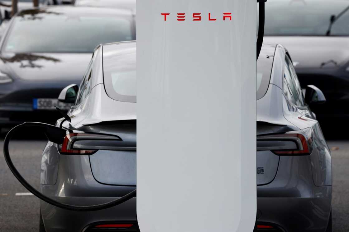 The backlash against Tesla has been particularly strong in Germany, where Elon Musk has voiced firm support for the far-right AfD party The backlash against Tesla has been particularly strong in Germany, where Elon Musk has voiced firm support for the far-right AfD party