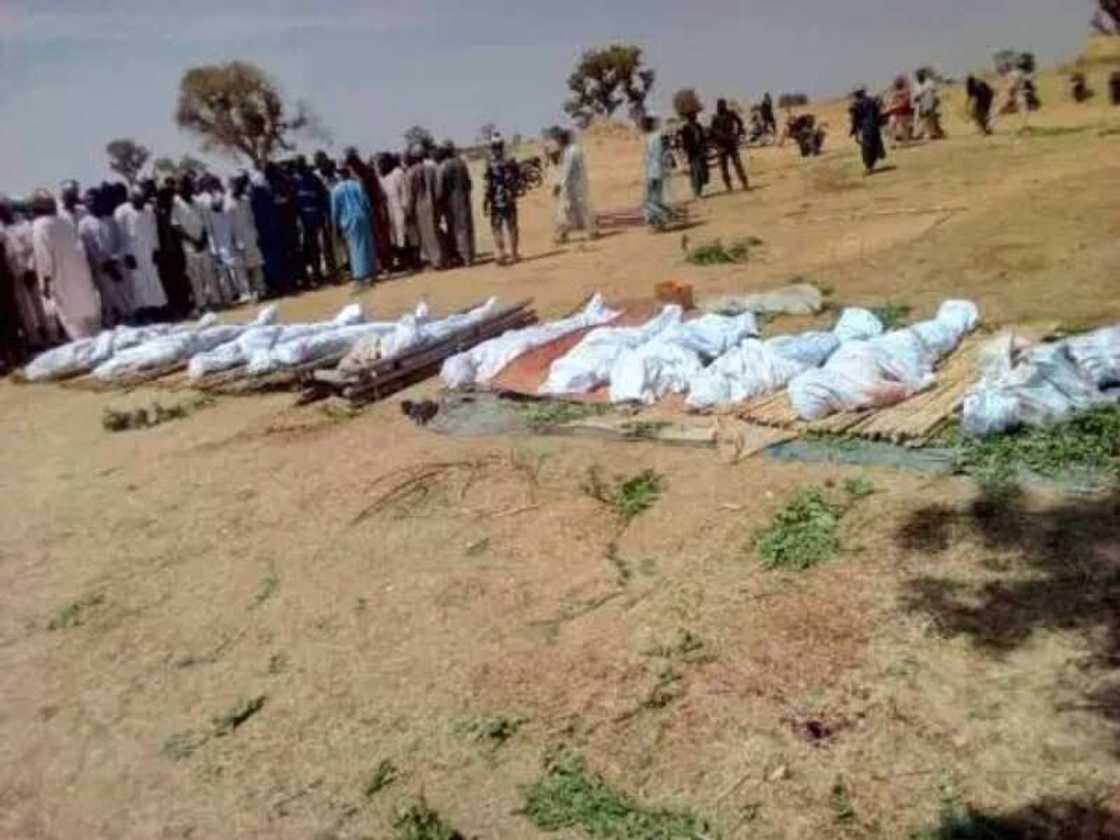 Yam bindiga sun kashe mutun 60 a Zamfara Yam bindiga sun kashe mutun 60 a Zamfara