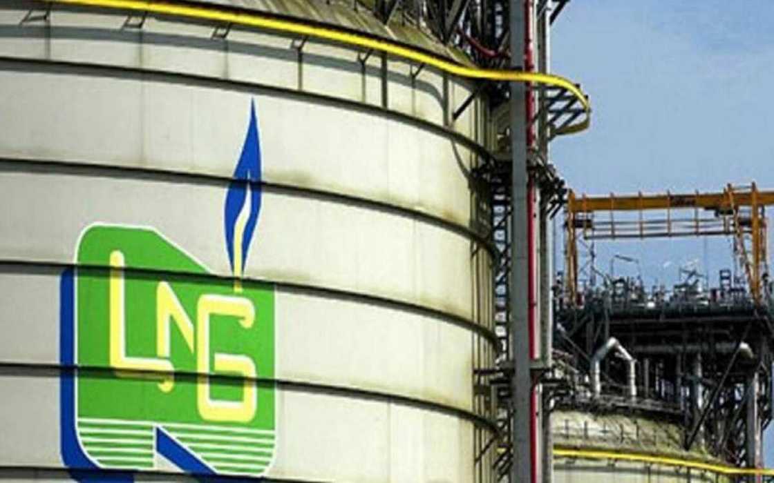 NLNG gives important reason why it cut down exports of cooking gas NLNG gives important reason why it cut down exports of cooking gas