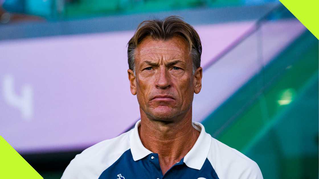 Herve Renard was linked with coaching the Super Eagles of Nigeria