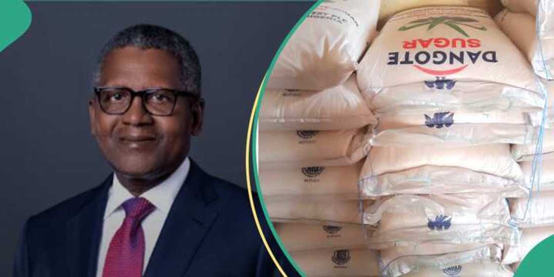 Kamfanin Dangote na daukar ma'aikata dubu 7 ko wace shekara