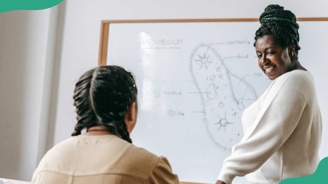 A teacher teaches a student