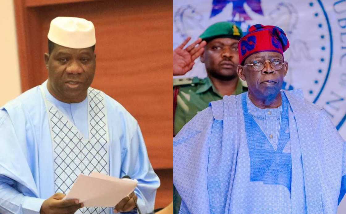 Bamidele, Tinubu Bamidele, Tinubu