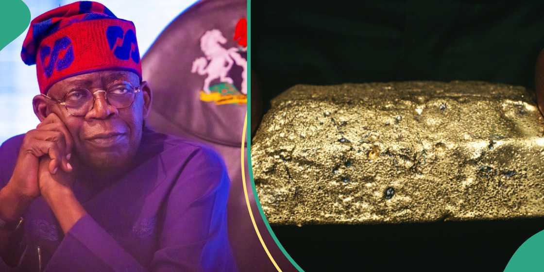 FG Shuts Down Gold Mine FG Shuts Down Gold Mine