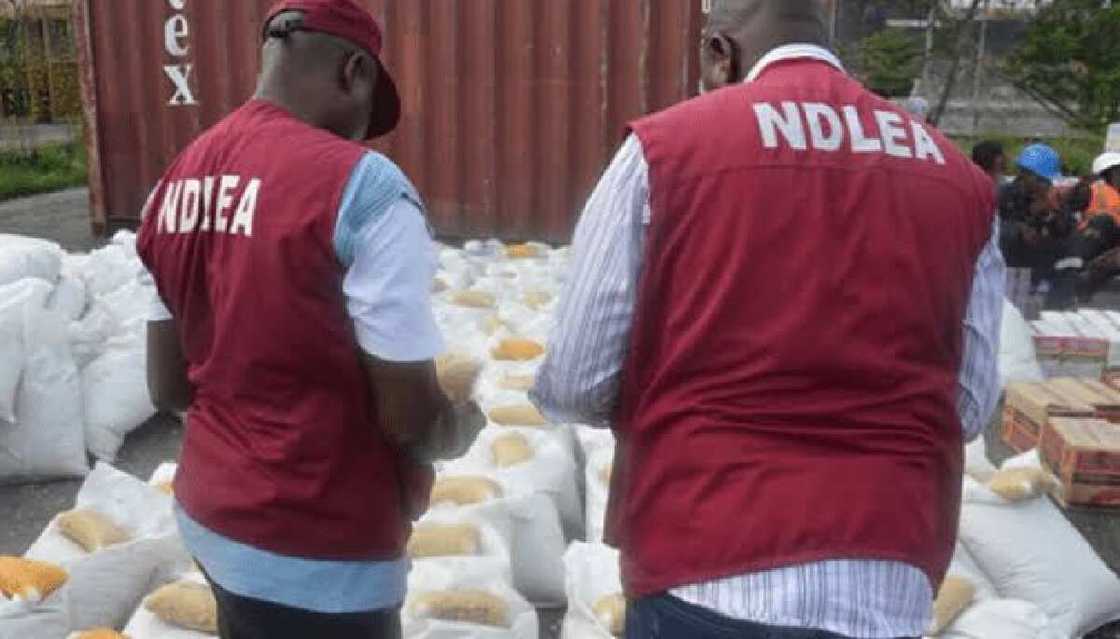 Yan sanda sun cafke jami'in NDLEA