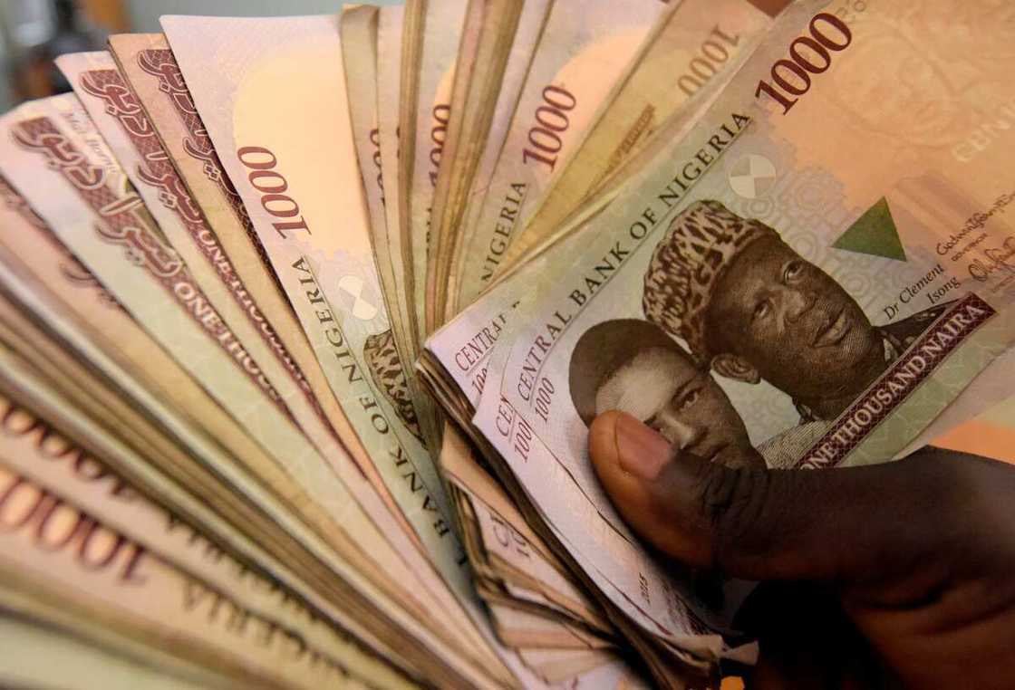 Naira Fall at Official Market, Stable at Parallel as Okonjo-Iweala Set to Meet CBN Boss Naira Fall at Official Market, Stable at Parallel as Okonjo-Iweala Set to Meet CBN Boss