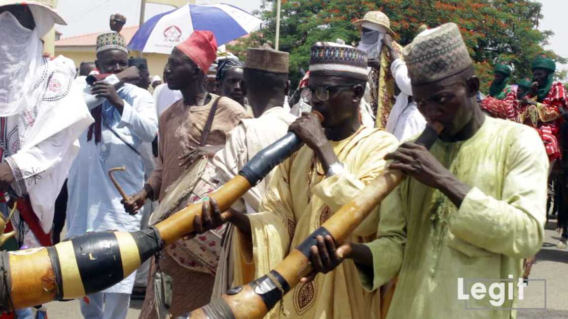 Hotuna: Masu busa kakaki Hotuna: Masu busa kakaki