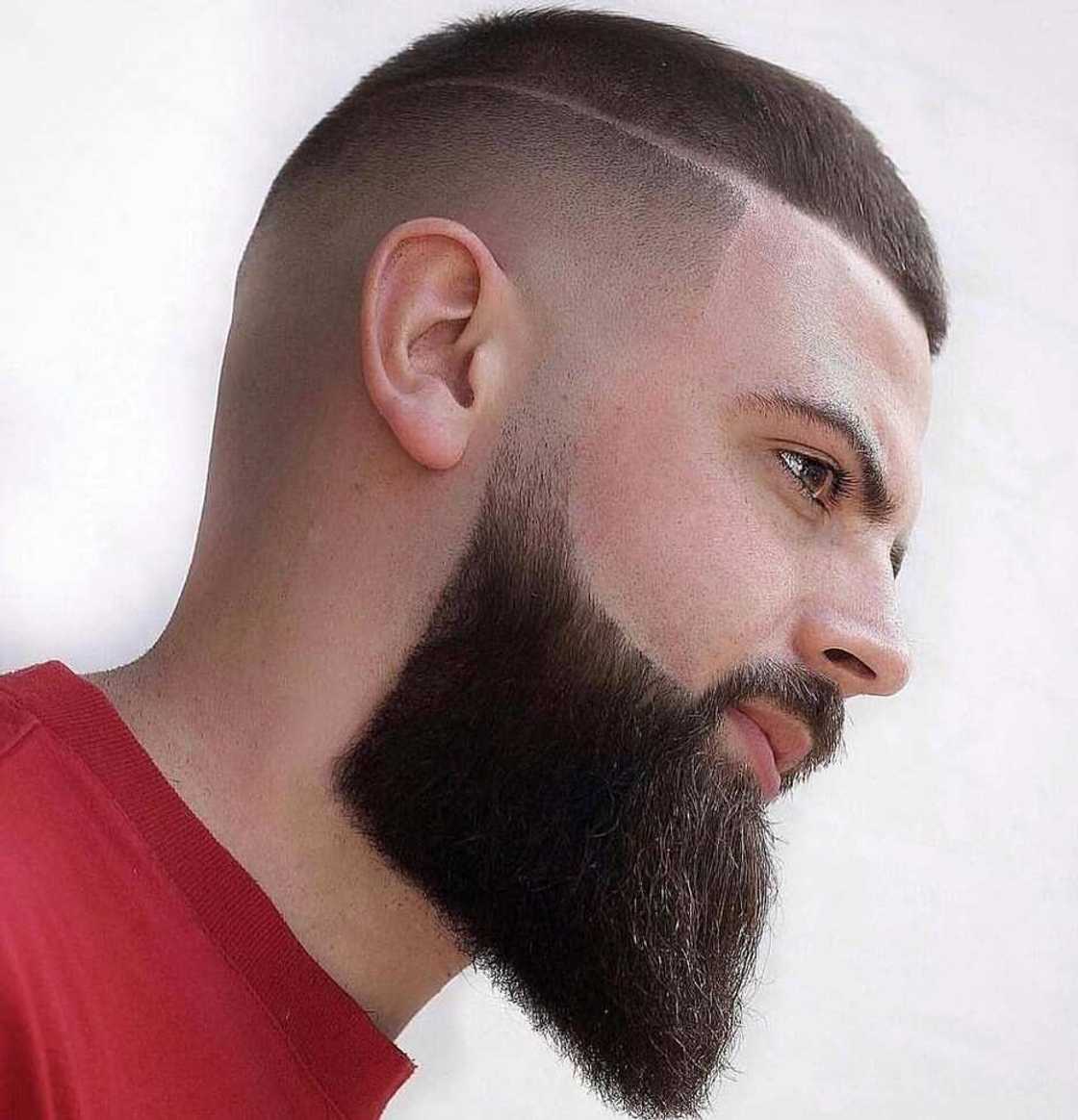 high fade with beard