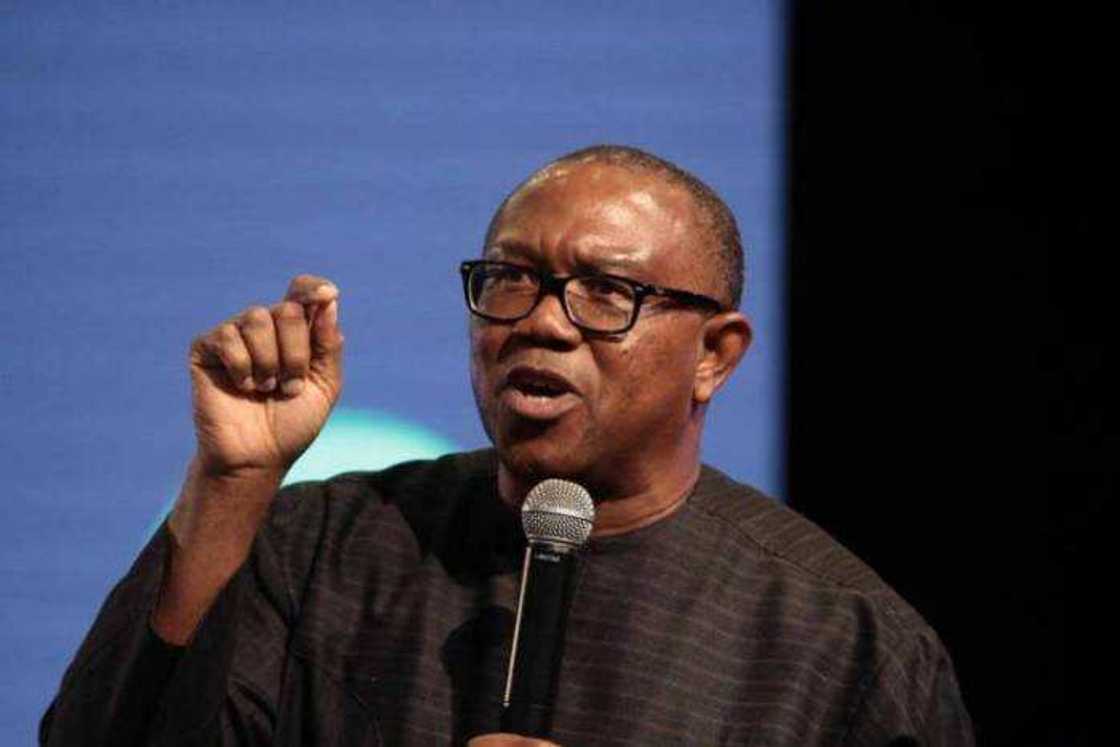 2023 general elections, PDP, APC, Peter Obi, Anambra governor, Labour Party