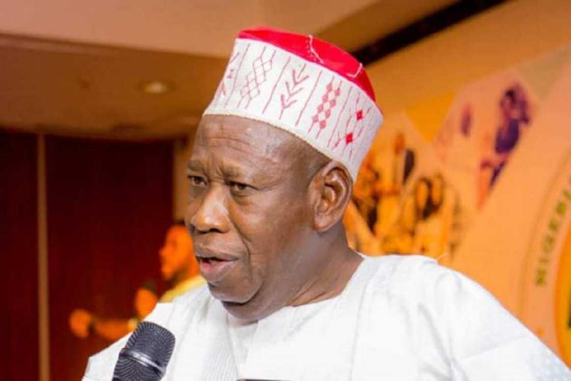 Ganduje ya bukaci a haramta yawon shanu daga kudu zuwa arewa Ganduje ya bukaci a haramta yawon shanu daga kudu zuwa arewa