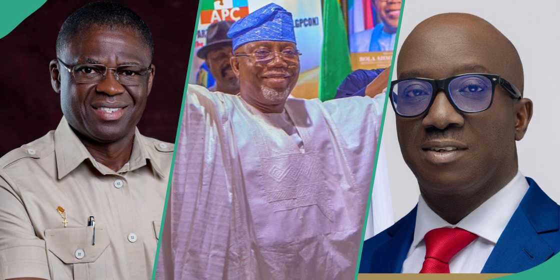 Biggest political winners in Nigeria in 2024