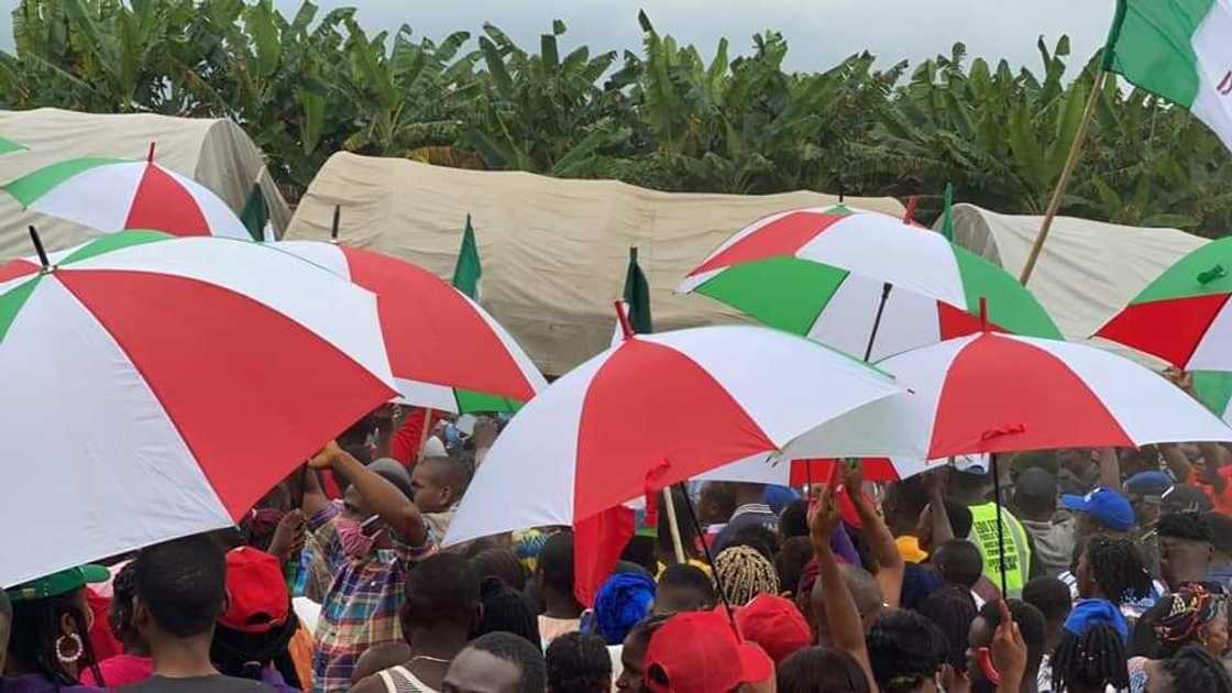 PDP members in southeast PDP members in southeast