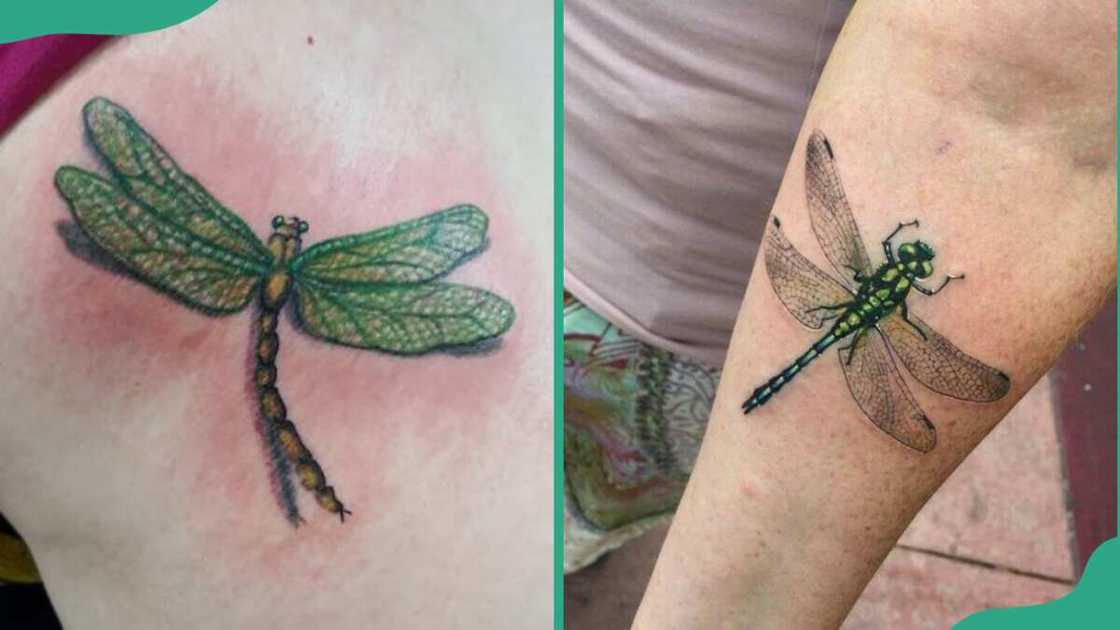 Green dragonfly tattoo