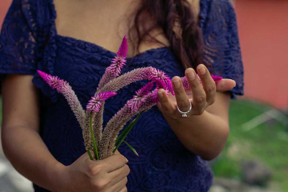 A woman holding purple celosia flowers A woman holding purple celosia flowers