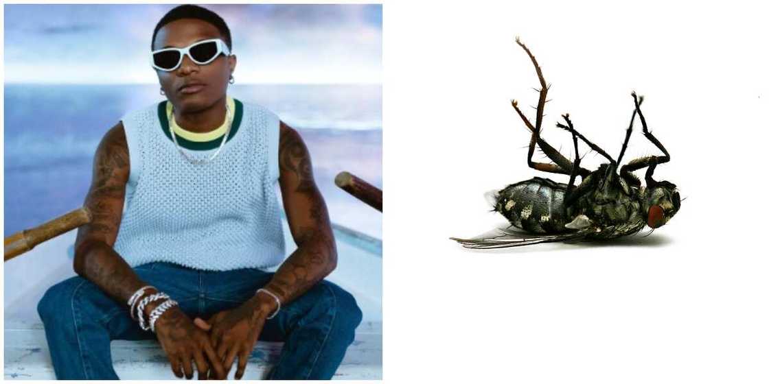 Wizkid