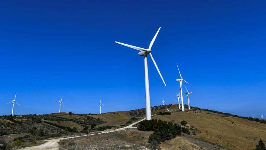 Wind turbines near Bizerte in northern Tunisia Wind turbines near Bizerte in northern Tunisia