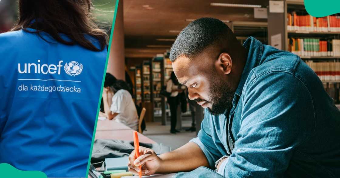 UNICEF's remote internship programme opens, Nigerians can apply UNICEF's remote internship programme opens, Nigerians can apply