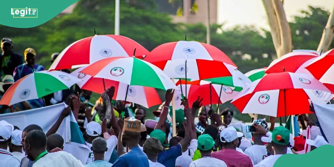 Court stops PDP from holding national convention