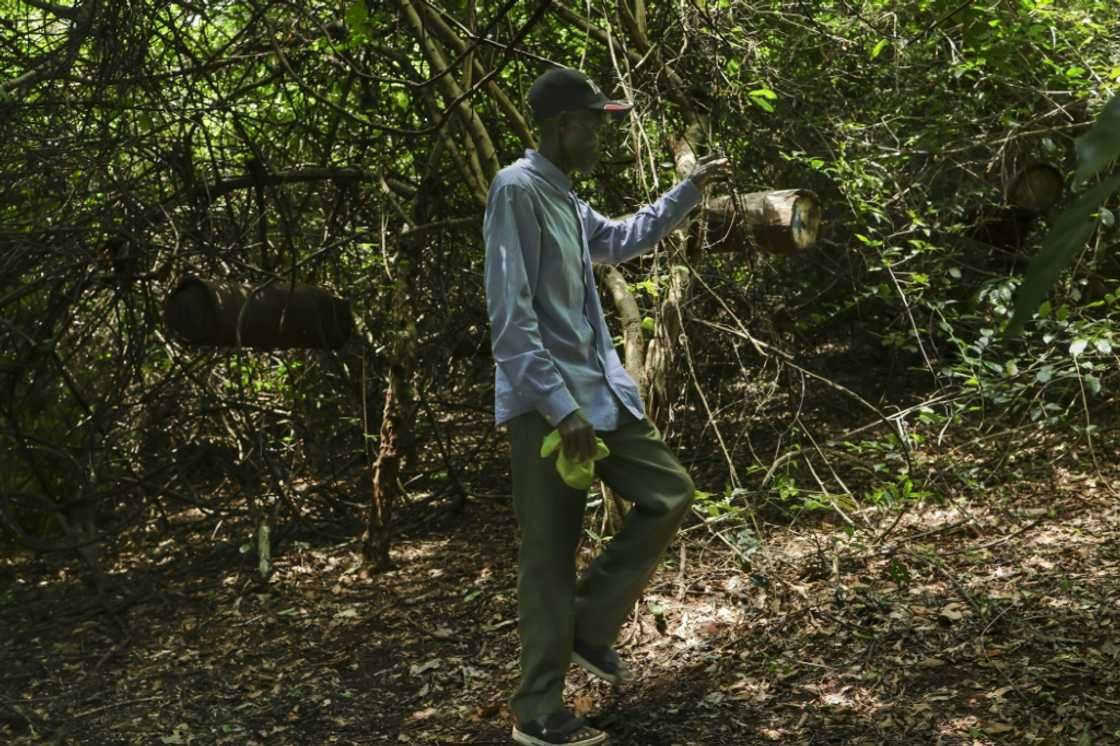 Locals fear the loss of forest livelihoods and resources Locals fear the loss of forest livelihoods and resources