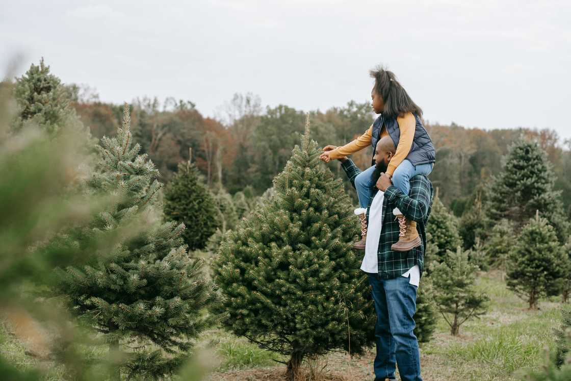 A father carrying his daughter in a forest A father carrying his daughter in a forest