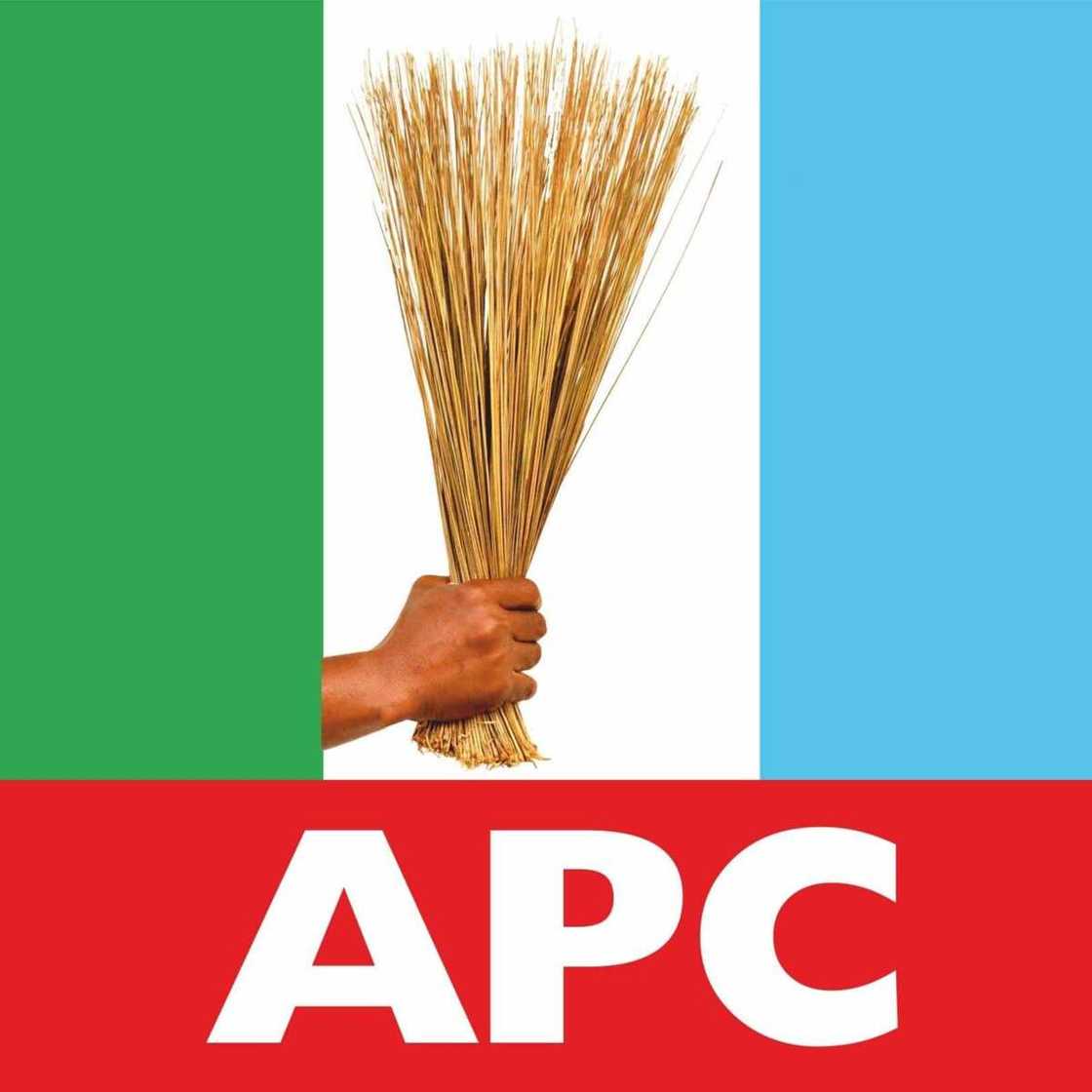 All Progressives Congress' logo All Progressives Congress' logo