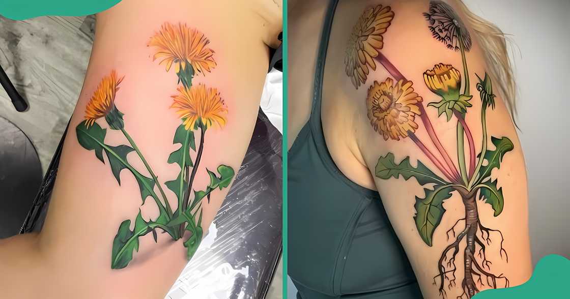 Colourful and realistic dandelion plant tattoos Colourful and realistic dandelion plant tattoos