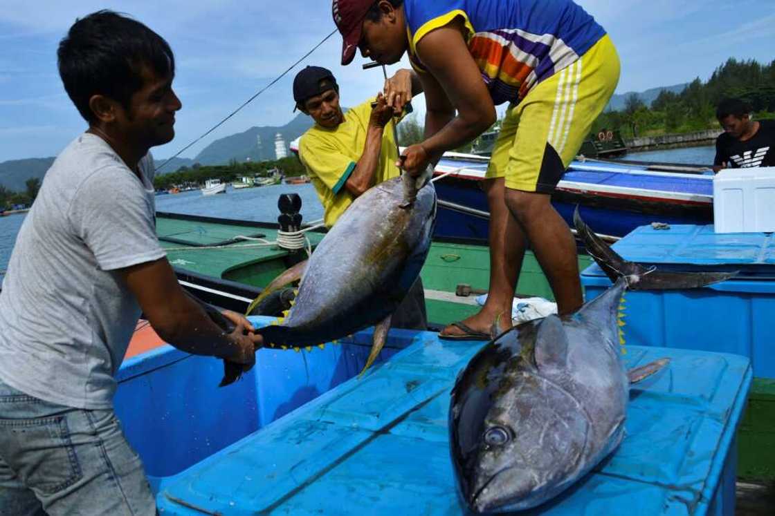 The new watchword is 'blue food' -- sustenance from the sea that is both sustainable and equitable