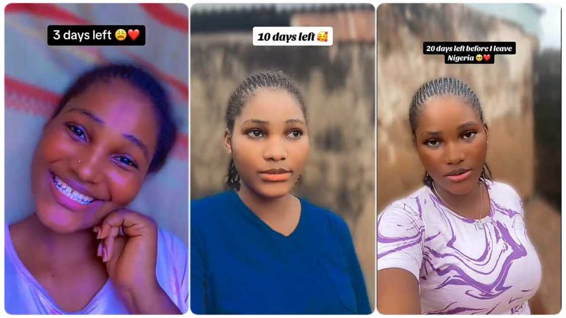 Photo of young lady Photo of young lady