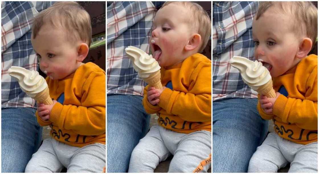 Litlte boy seen in video licking ice cream with relish. Litlte boy seen in video licking ice cream with relish.