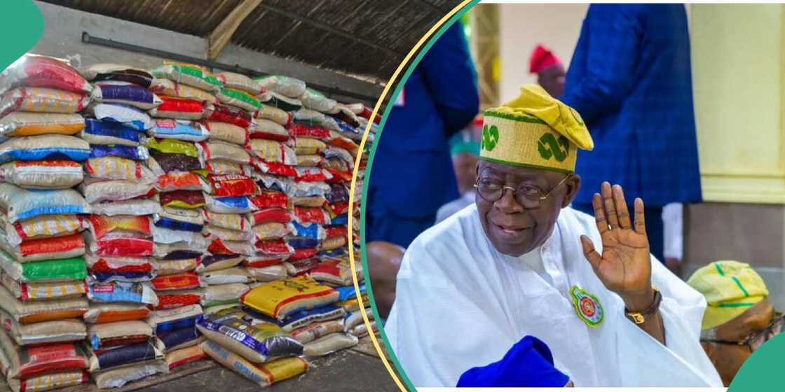 Bola Tinubu. Bola Tinubu.