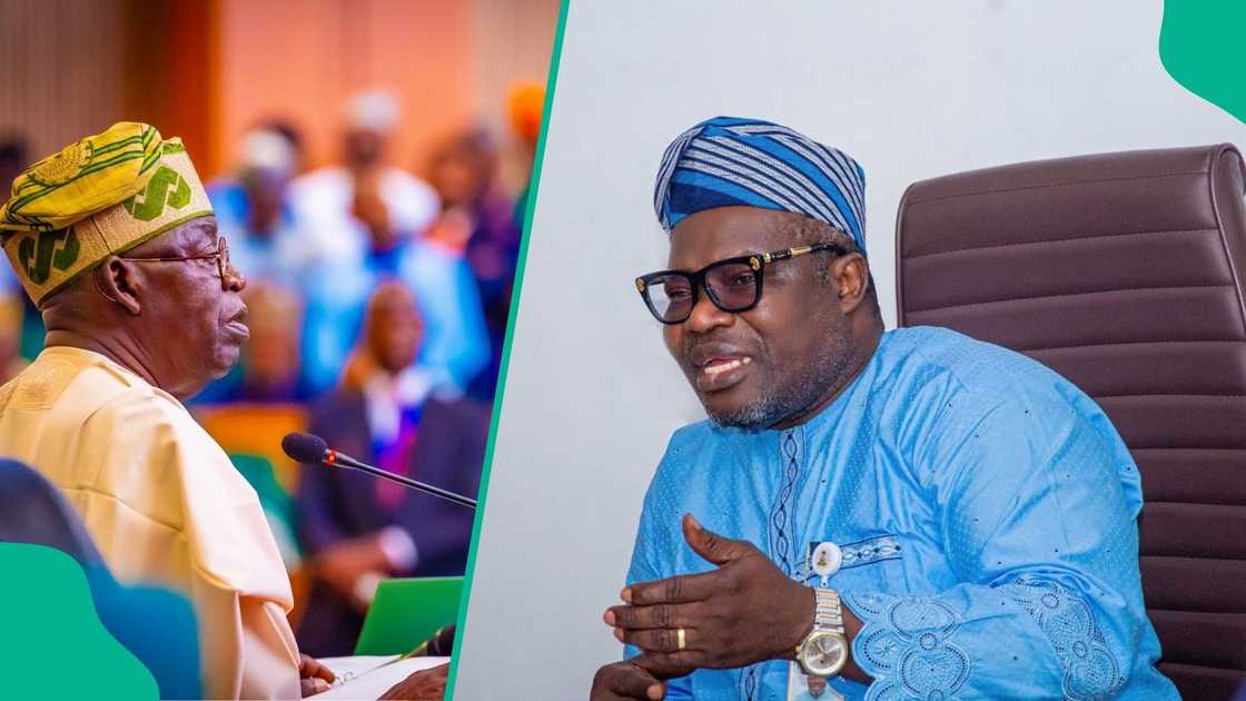 The tenure of the Surveyor-General of the Federation, AbuduGaniyu Adebomehin, has been extended by President Tinubu. The tenure of the Surveyor-General of the Federation, AbuduGaniyu Adebomehin, has been extended by President Tinubu.
