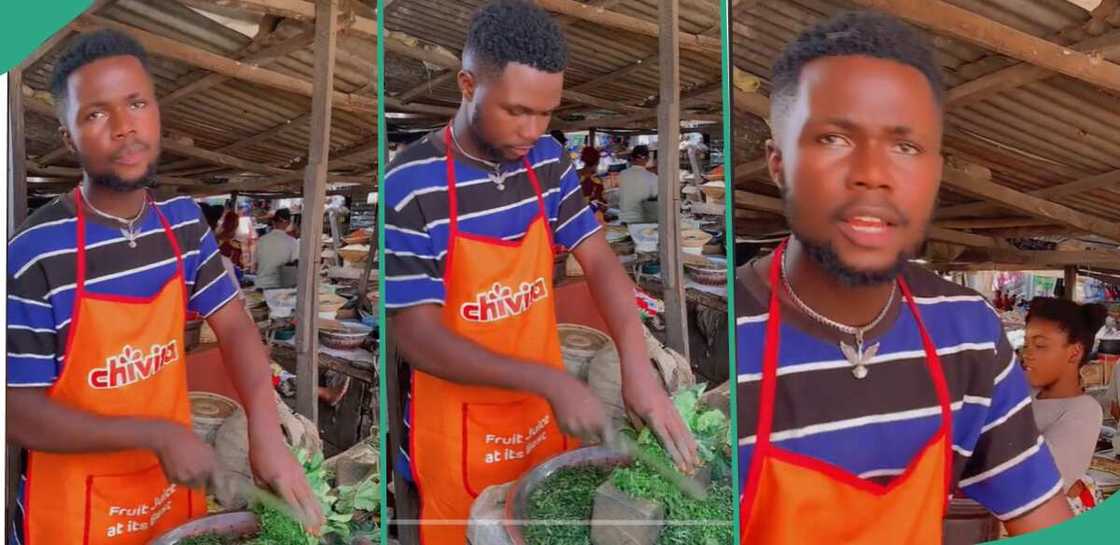 Man cutting fluted pumpkin leaves. Man cutting fluted pumpkin leaves.