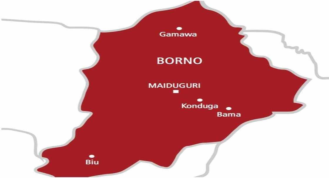 Taswirra Jihar Borno Taswirra Jihar Borno