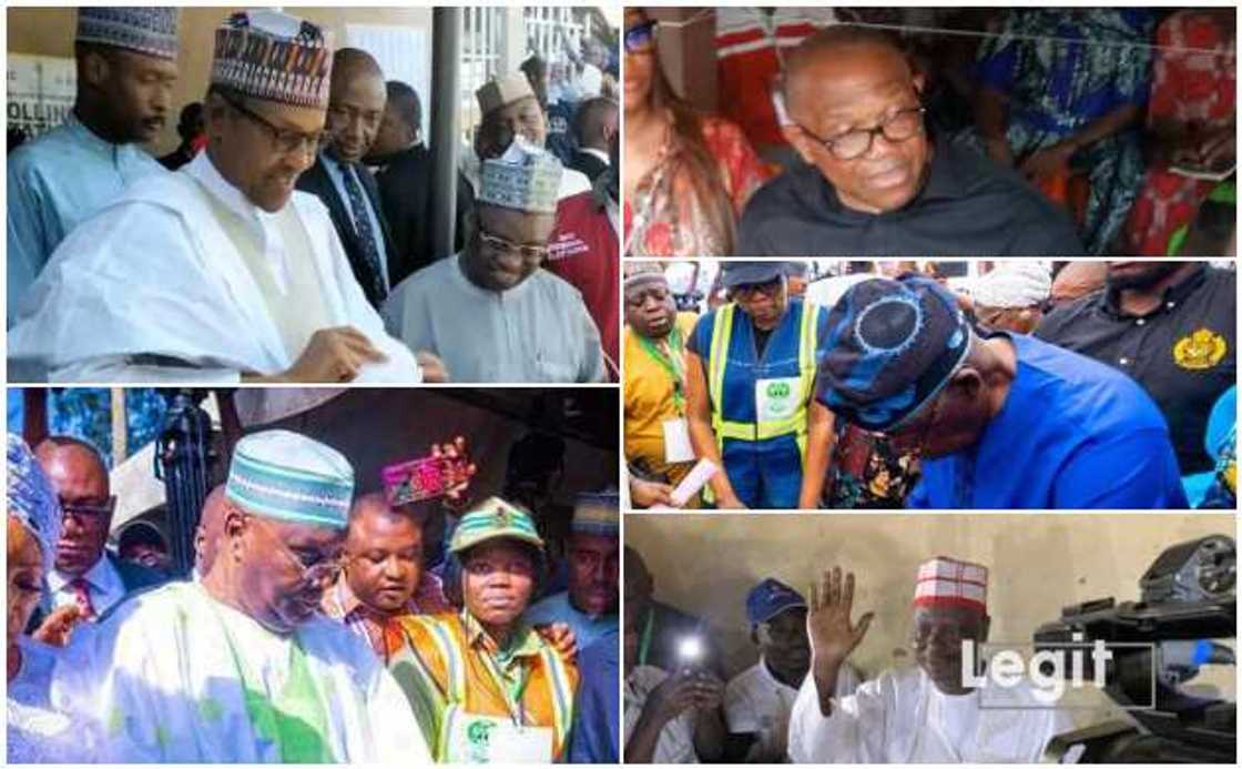 Buhari, Obi, Atiku, Tinubu, Kwankwaso