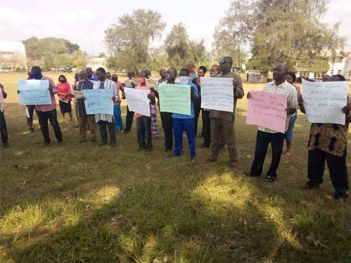 IPPIS zamba ne, gwamnati ta yaudare mu ne kawai, inji wani shugaban NASU