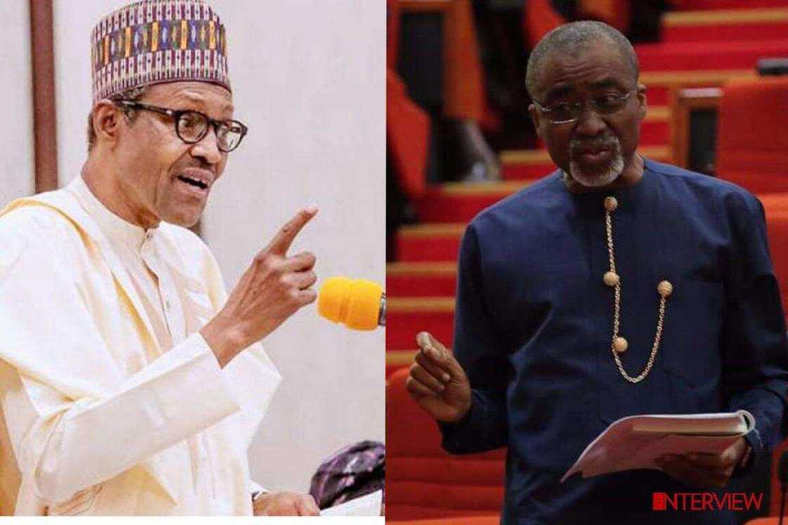 Babu wanda ya dauki Buhari da muhimmanci, hatta shugabannin hafsun soji, wani sanata
Hoto: theinterview.ng