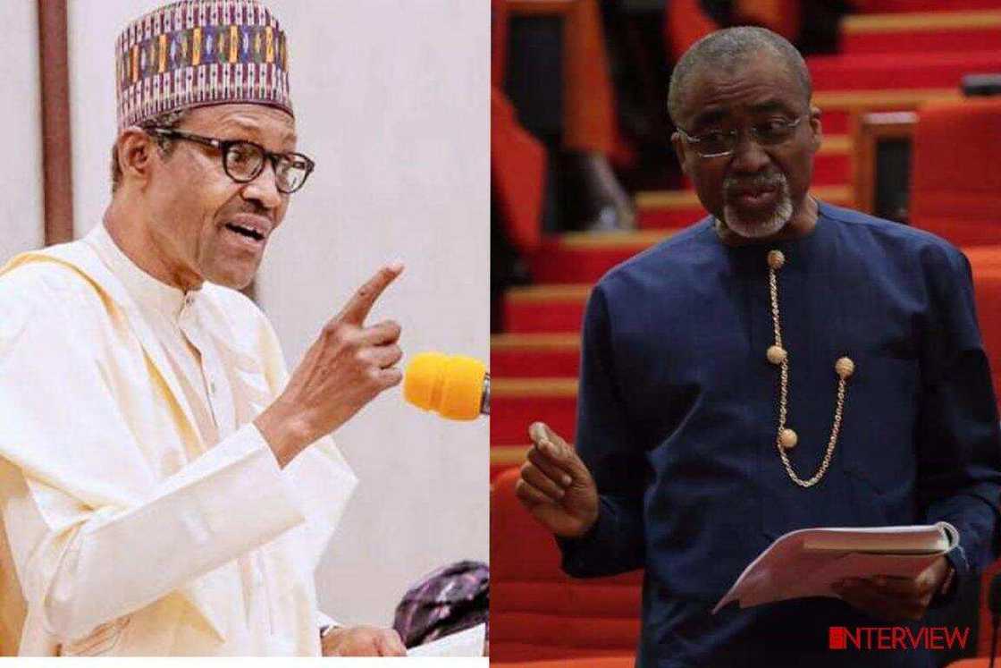 Babu wanda ya dauki Buhari da muhimmanci, hatta shugabannin hafsun soji, wani sanata
Hoto: theinterview.ng Babu wanda ya dauki Buhari da muhimmanci, hatta shugabannin hafsun soji, wani sanata
Hoto: theinterview.ng